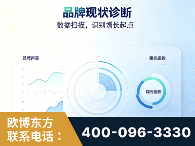 成都-品牌现状诊断